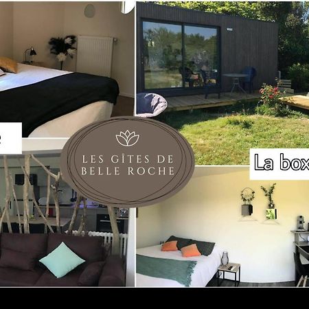 Les Gites De Belle Roche Mâcon Exterior foto